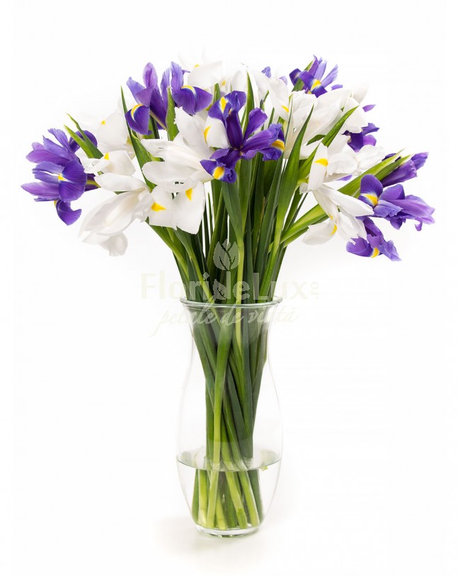 buchete de flori 1 martie -locul 10