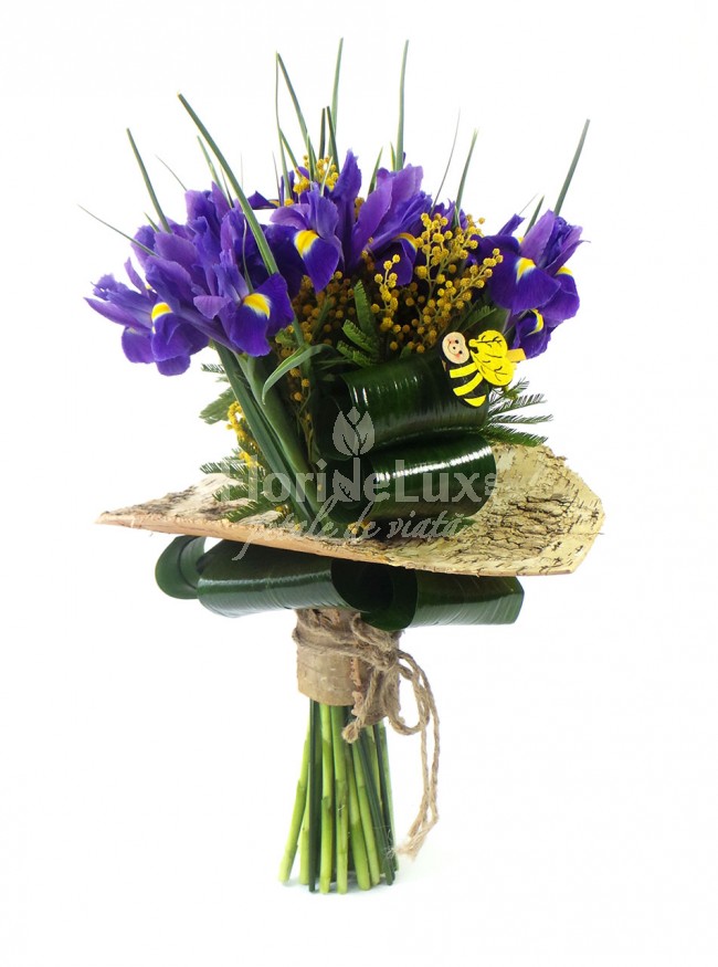 buchete de flori - irisi albastri